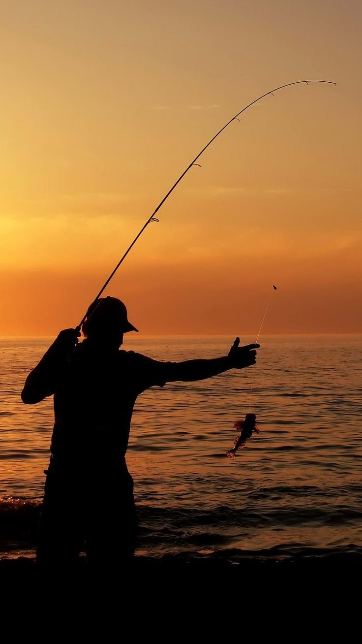 Top Fishing Spot in Every American State