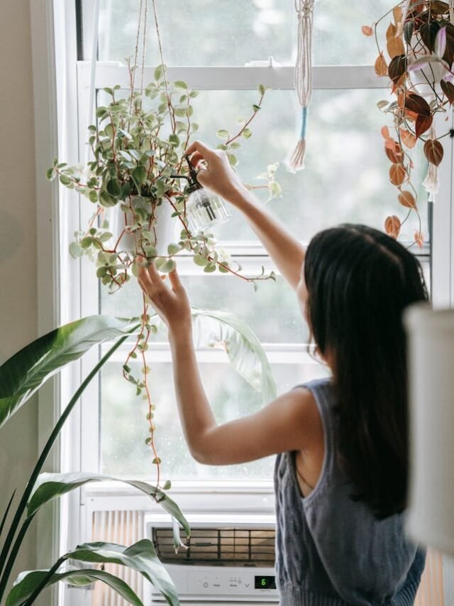 This Simple Hack Will Keep Your Orchid Alive Longer